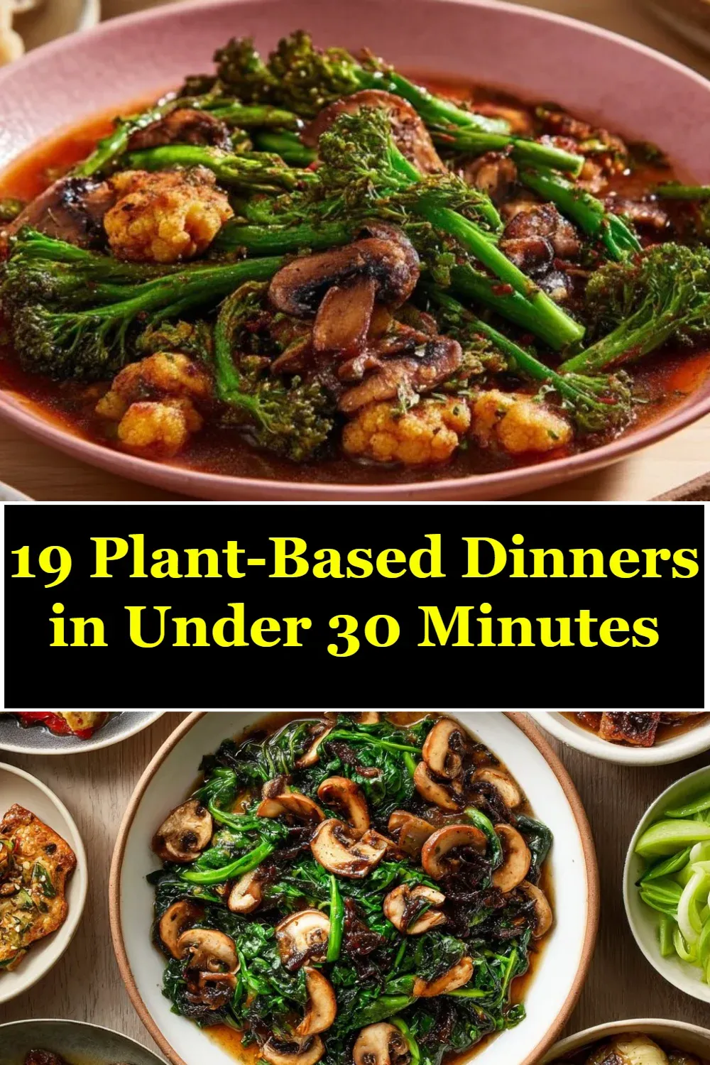 QjRTu0fA0PlCjBdLqIda4kRMk8u2kHRf50yCy9EF