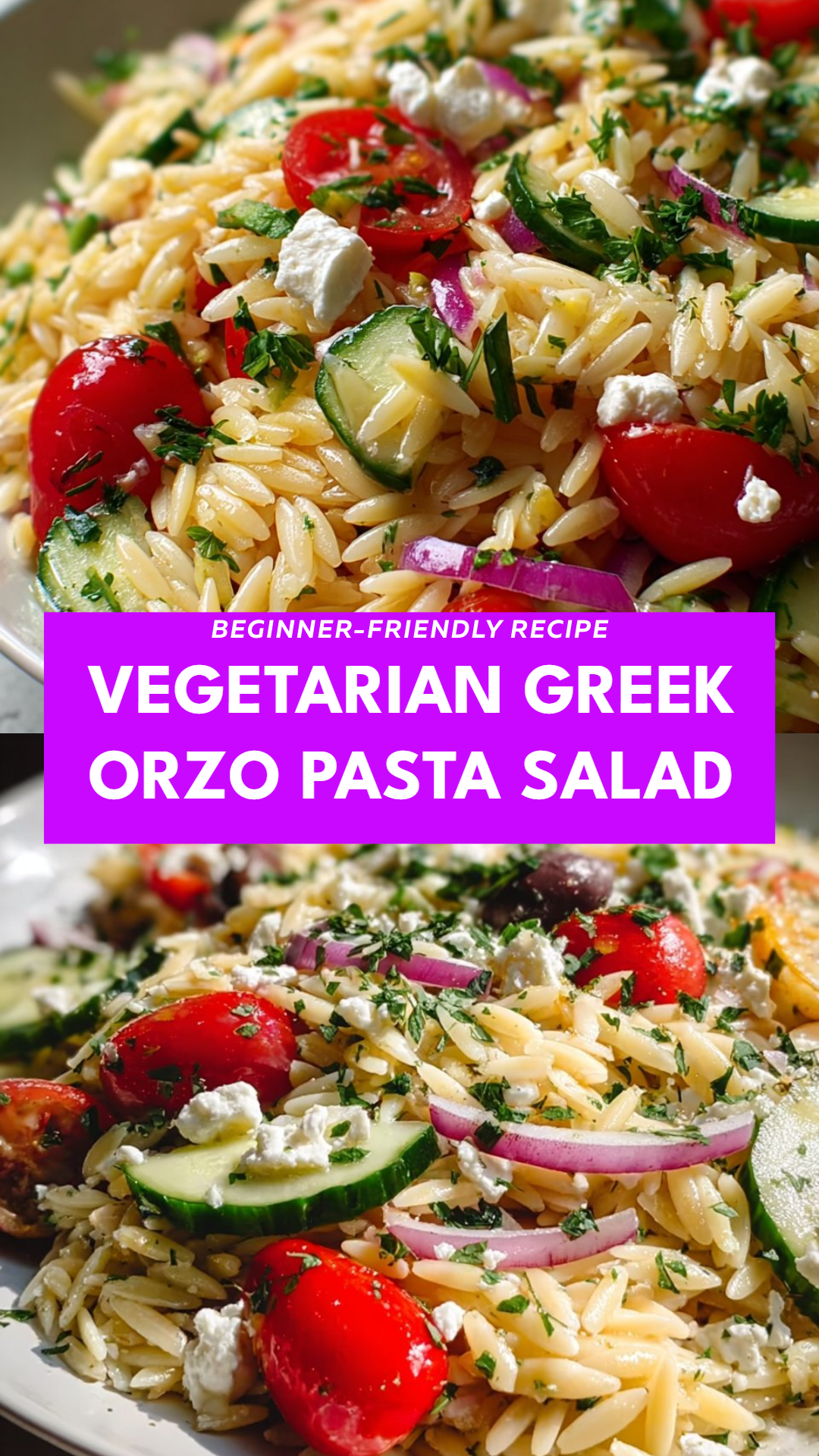 Vegetarian Greek Orzo Pasta Salad