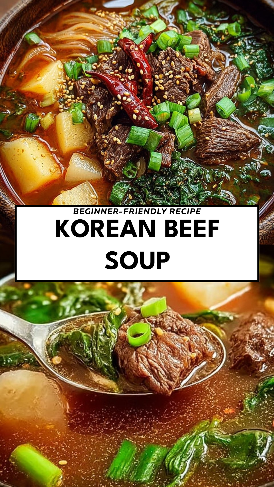Korean Beef Soup