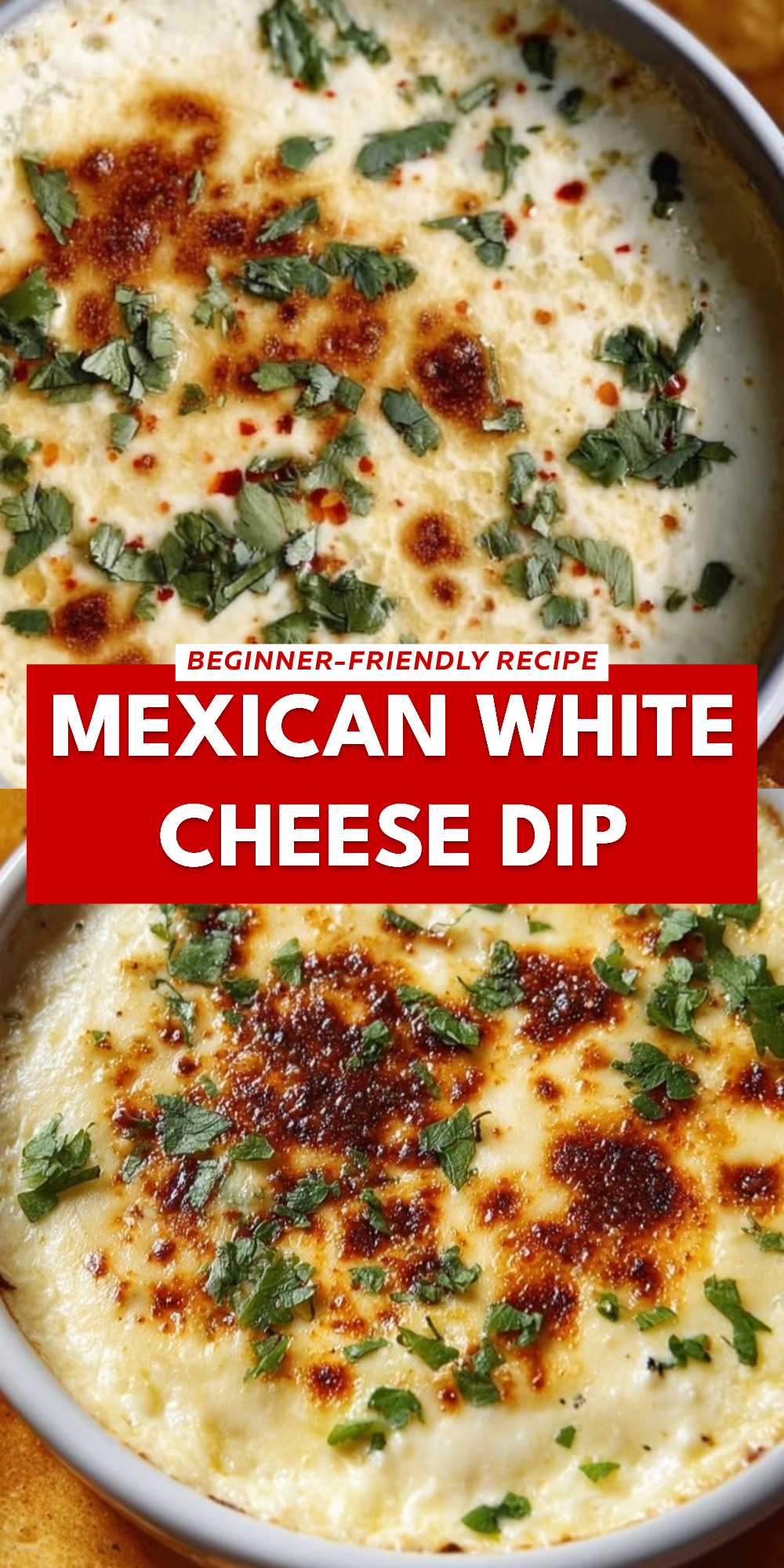 Mexican White Cheese Dip