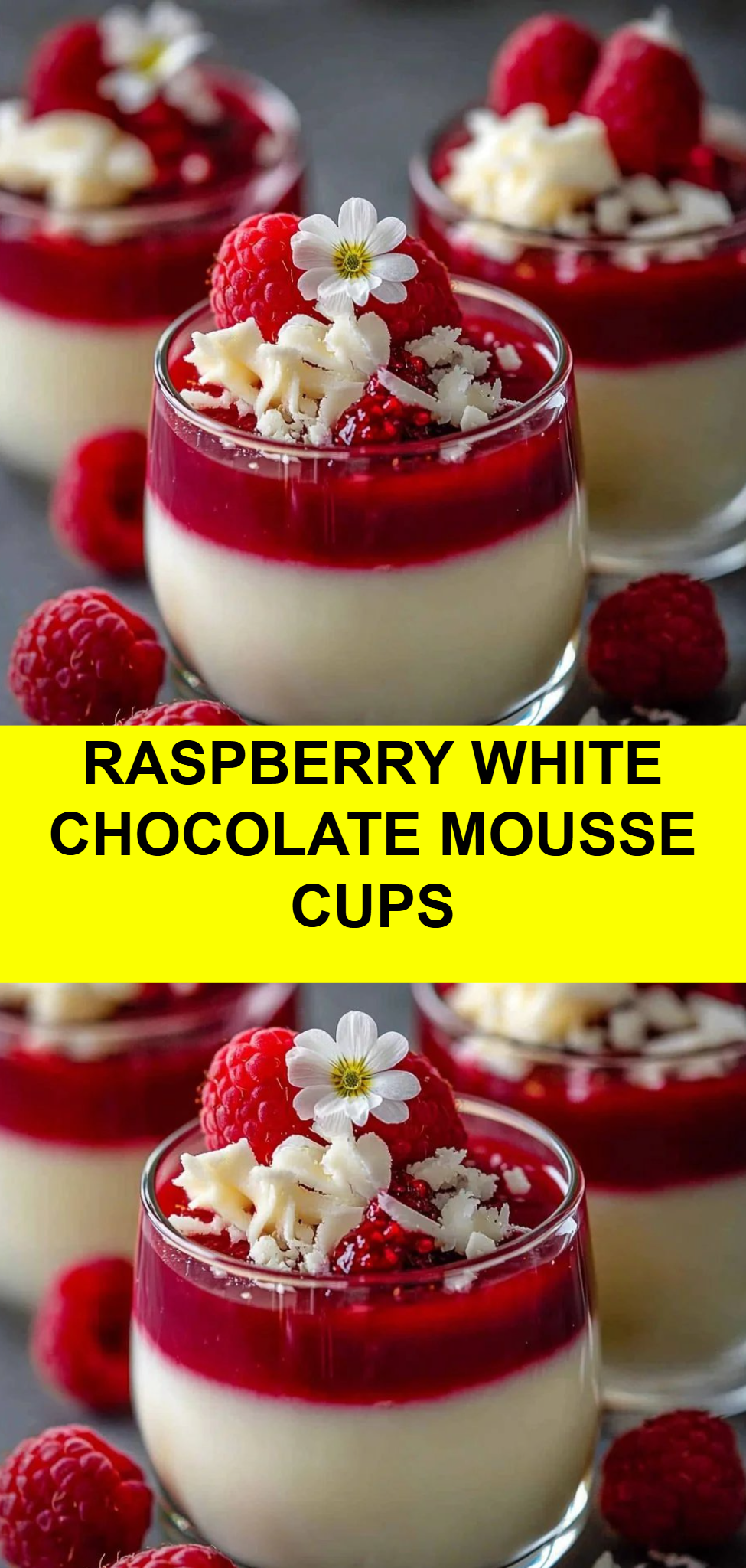 Raspberry White Chocolate Mousse Cups