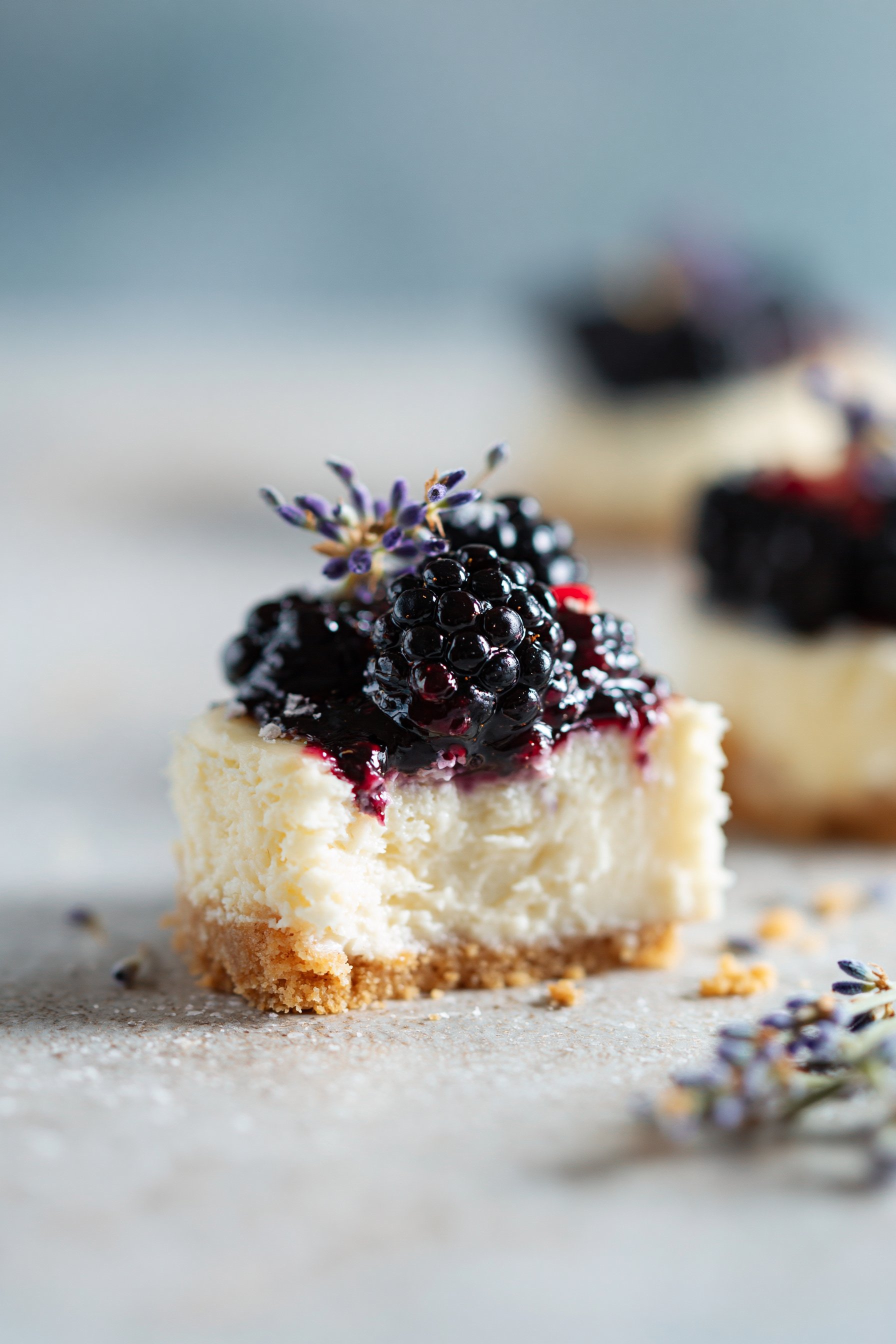 Mini Blackberry Lavender Cheesecakes