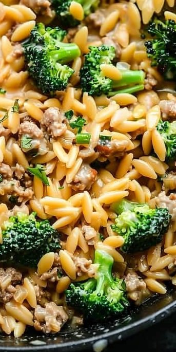 Best Ground Turkey Orzo
