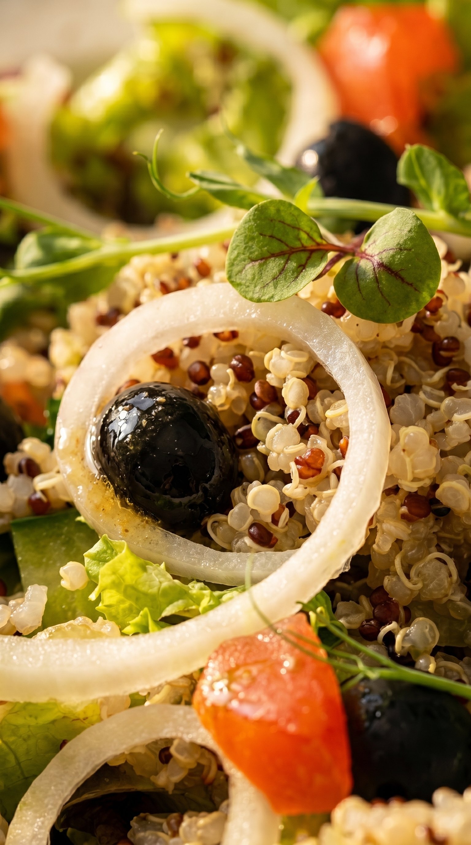 Salade de Quinoa et Avocat