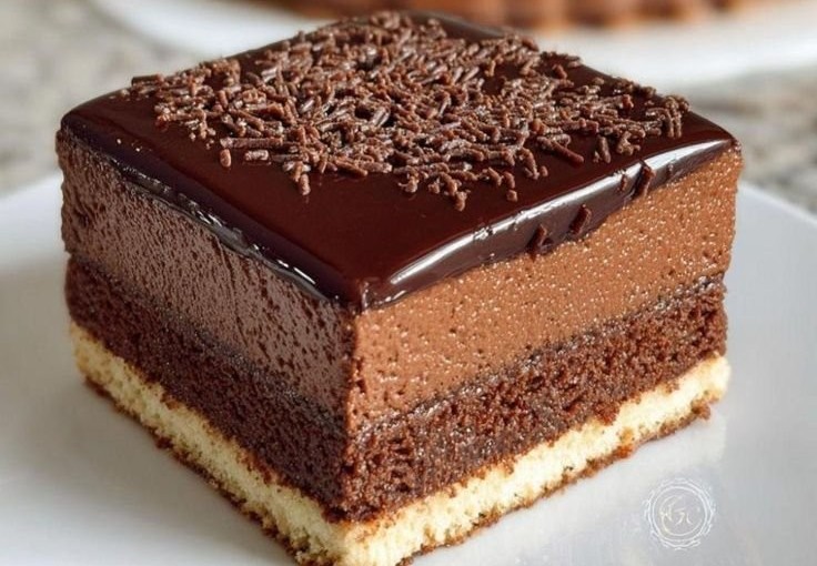 Gâteau crémeux chocolat sans cuisson