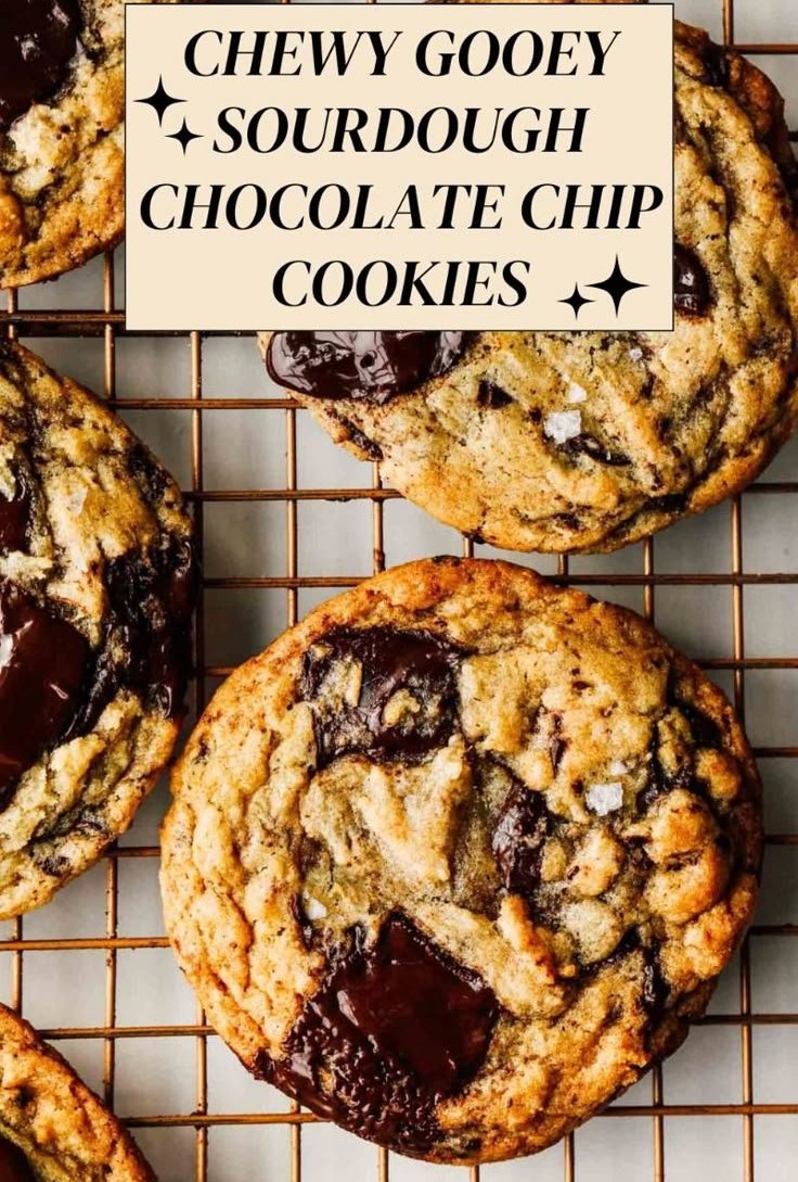 Chewy Gooey Sourdough Chocolate Chip Cookies