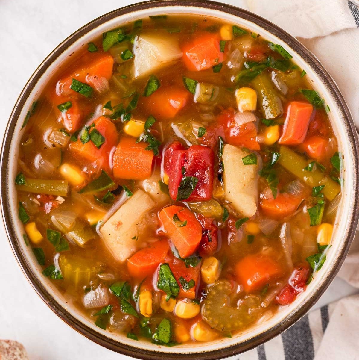 Instant Pot Vegetable Soup