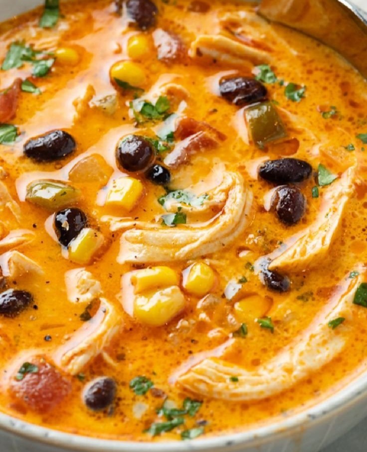 Chicken Enchilada Soup