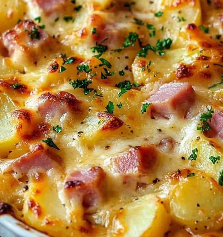 Ham and Potato Au Gratin