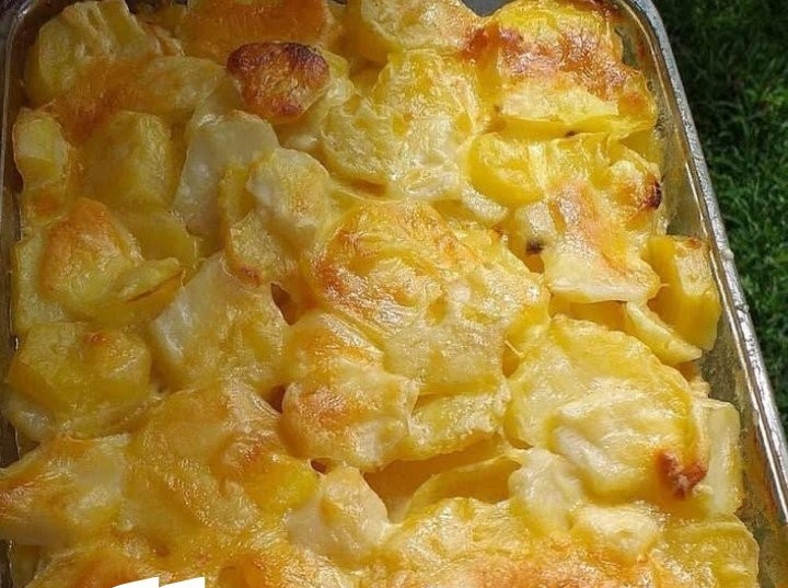 Best Scalloped Potatoes