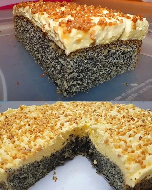 Schneller Mohnkuchen ohne Boden