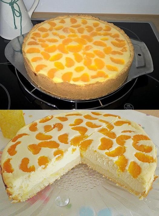 Faule Weiber Quarkkuchen mit Vanillepudding