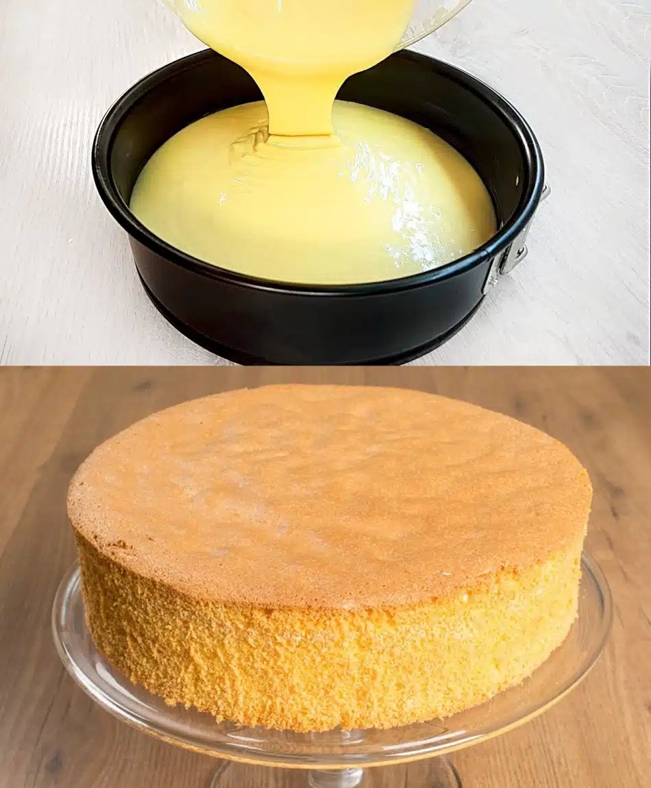 Biskuitkuchen
