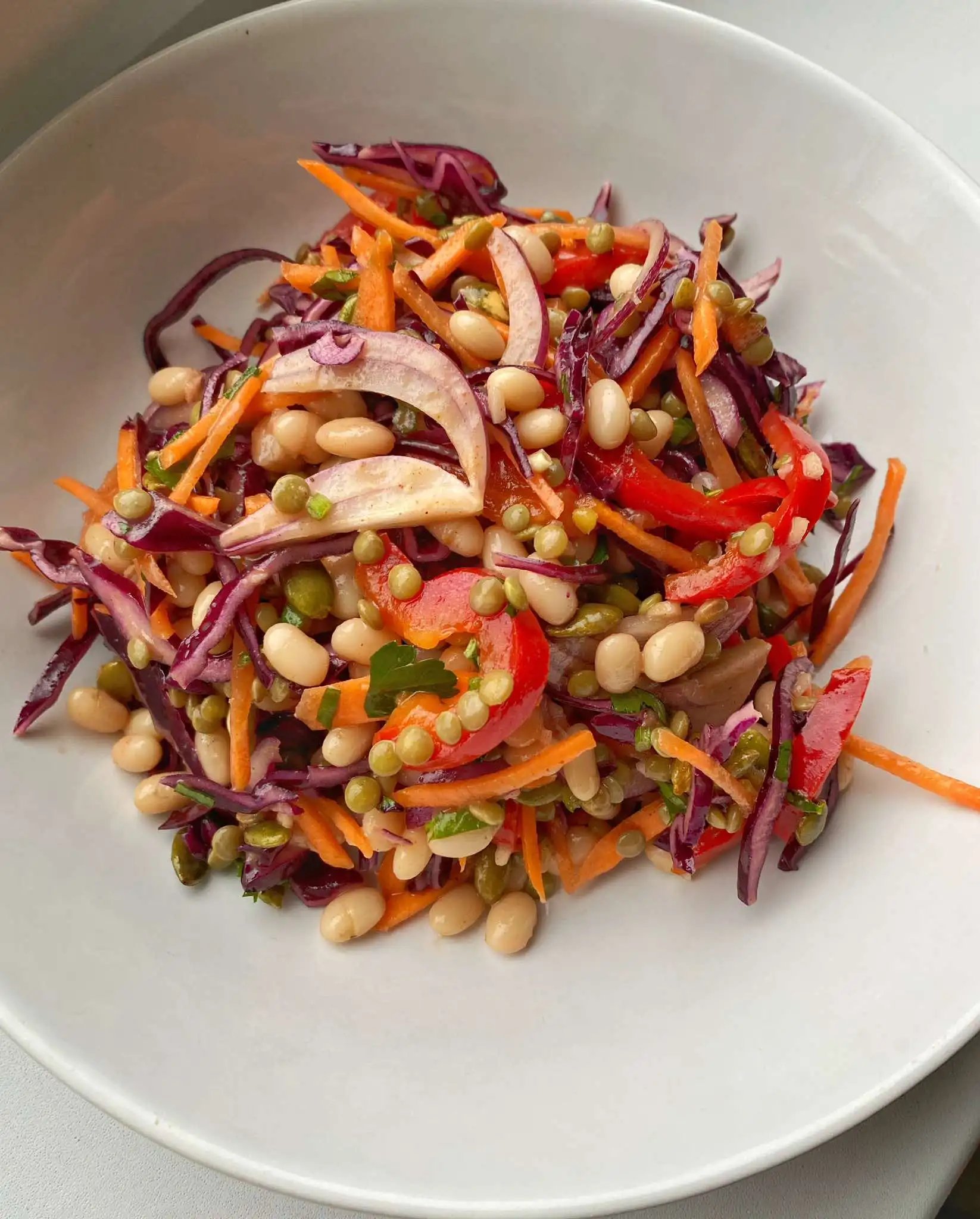 Red Cabbage and Bean Salad