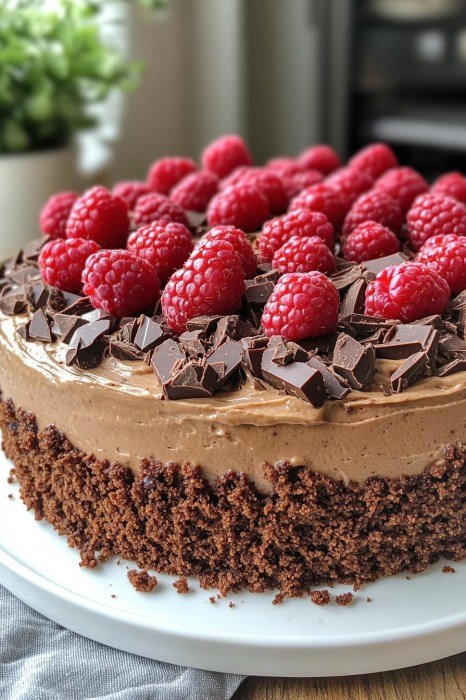 Schokoladen-Himbeer-Mousse-Kuchen