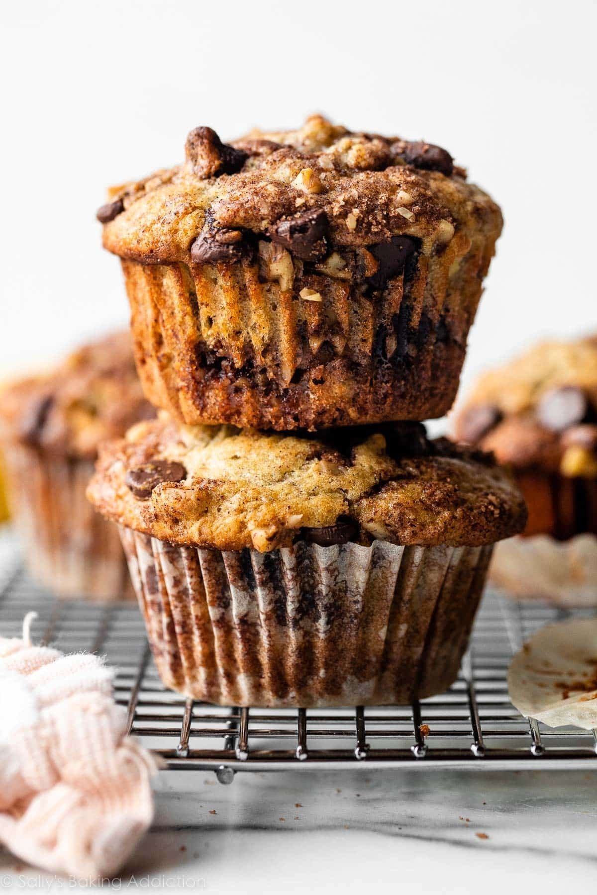 Banana Chocolate Chip Muffins with Cinnamon Streusel