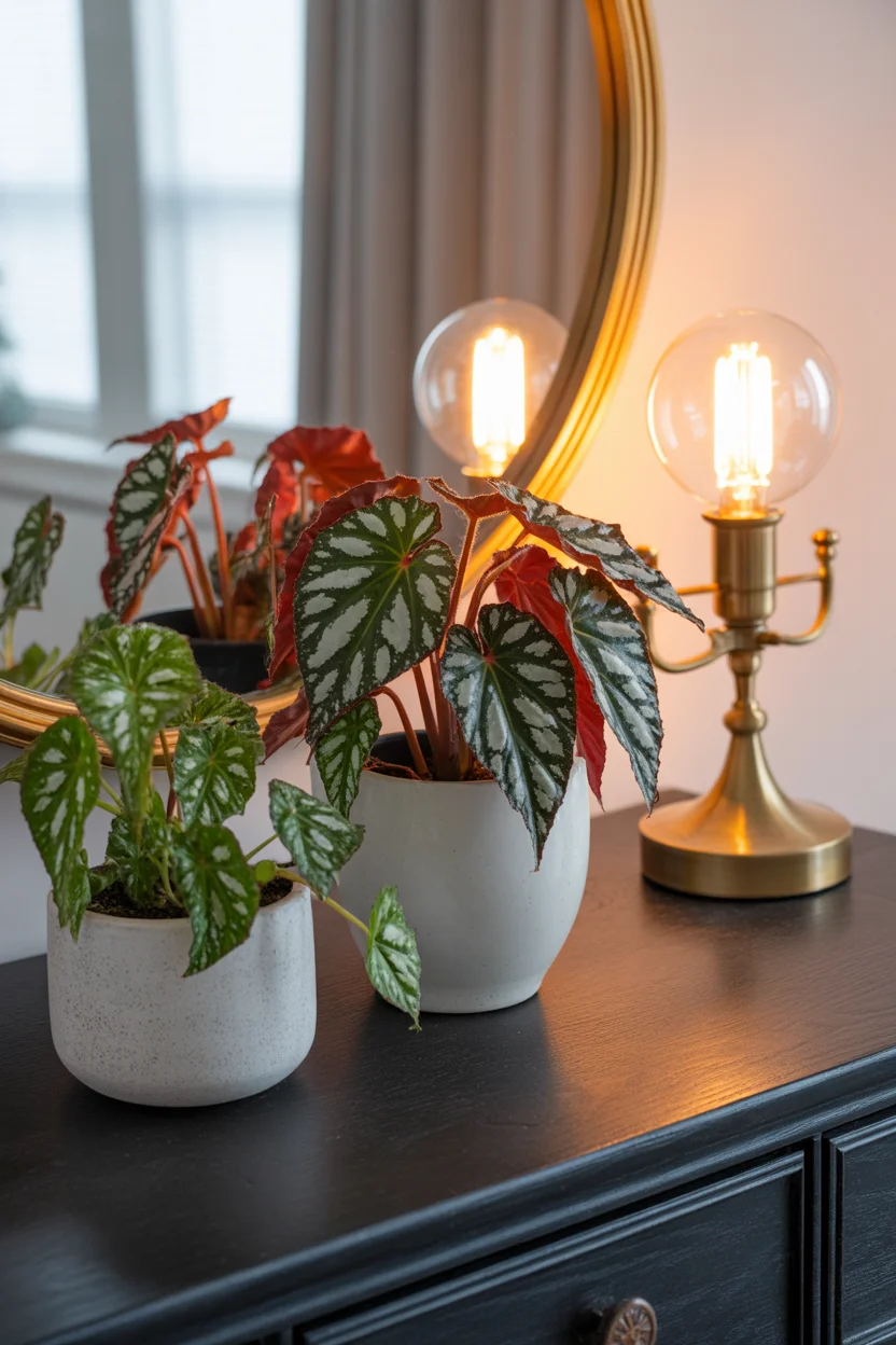 10 Must-Have Popular Houseplants Everyone Loves
